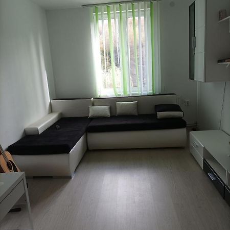 Apartament Doua Camere Uricani  Luaran gambar